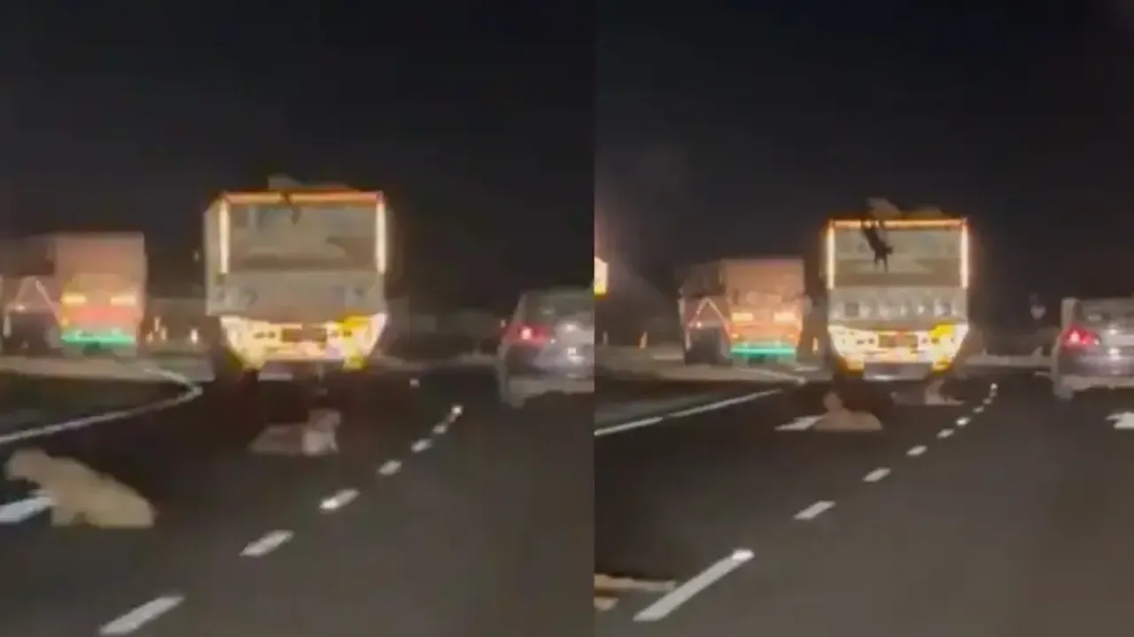 ‘Fast & Furious’ style theft video goes viral