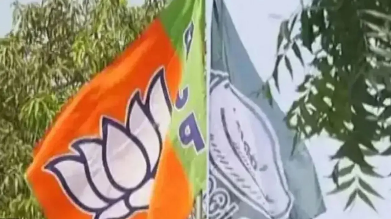 Flags Of BJP & BJD