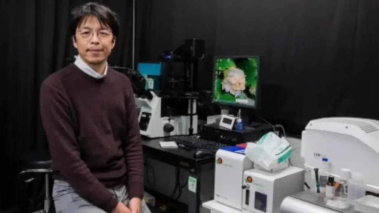 Researcher at Kyushu University