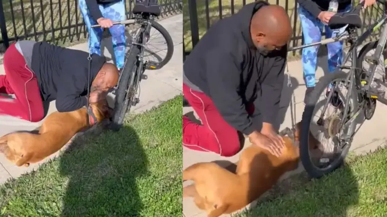 Angels are real! Man saves doggy with ‘kiss of life’ & CPR; video leaves netizens emotional; watch