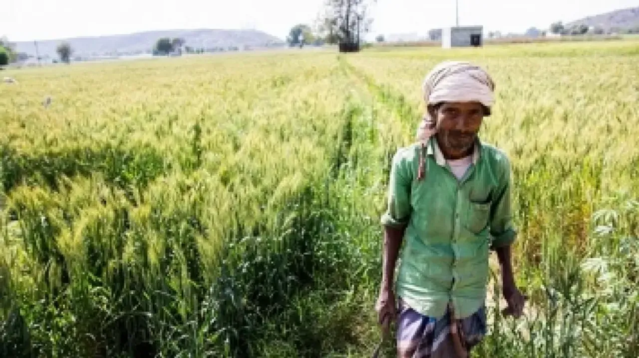 Microsoft, Accenture to empower 13 Indian social impact startups