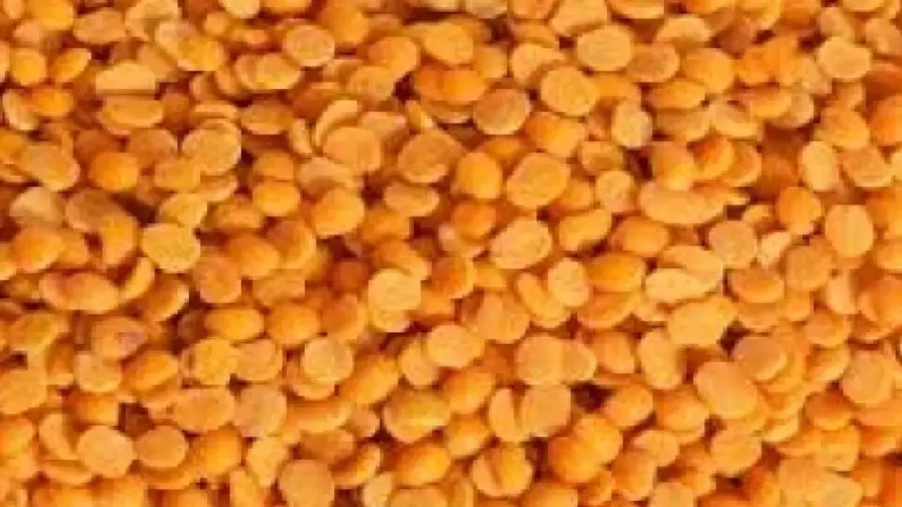 Centre imposes limit on tur, urad dal stocks of wholesalers, big chain retailers