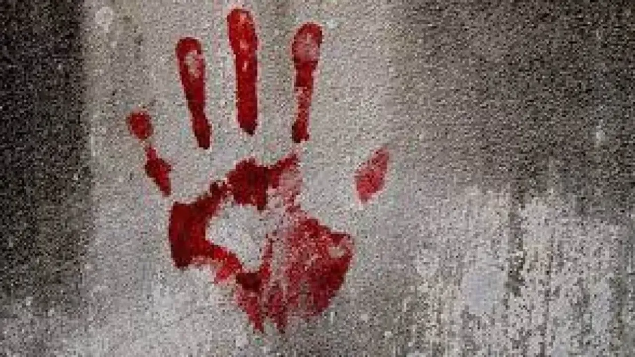 Grandson kills Grandmother