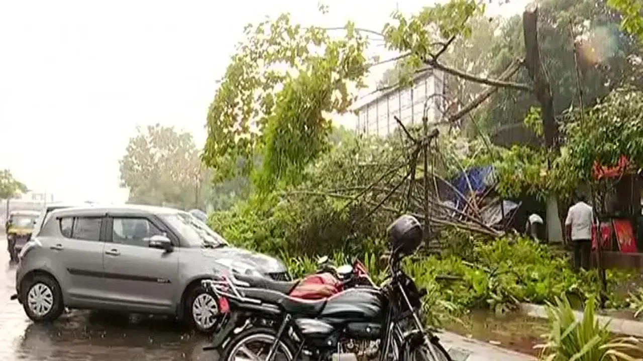 Odisha Chief Secy irked over tardy power restoration after nor'wester havoc in Bhubaneswar 