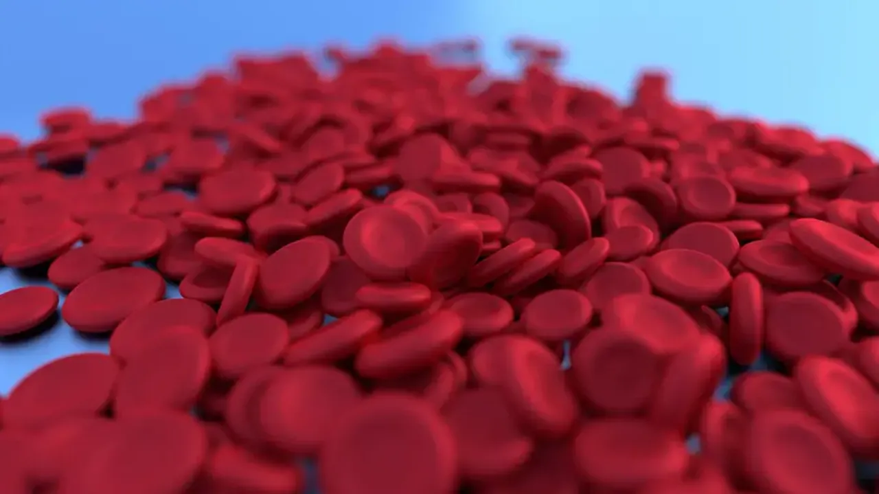 Sickle cell awareness day