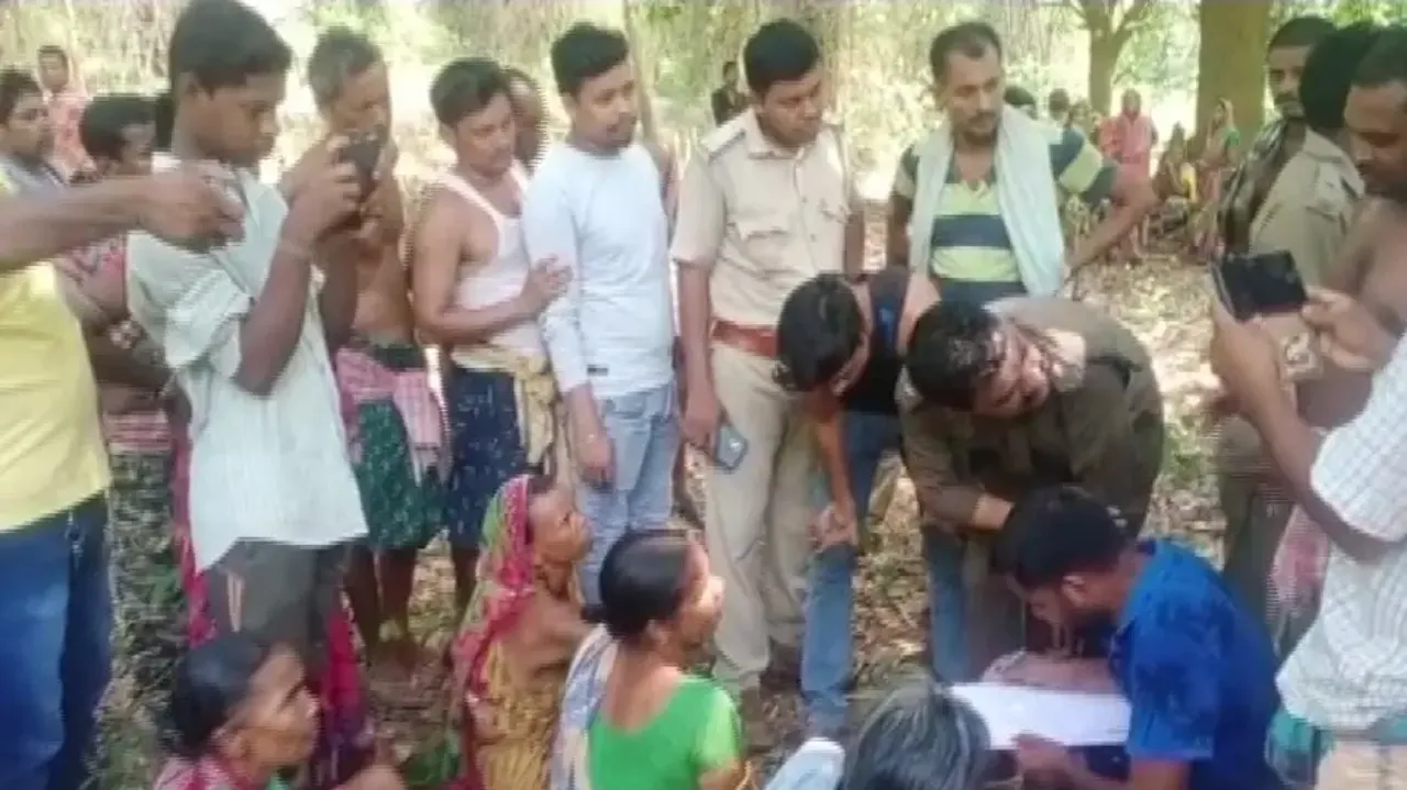 Four killed in separate elephant attacks in Odisha