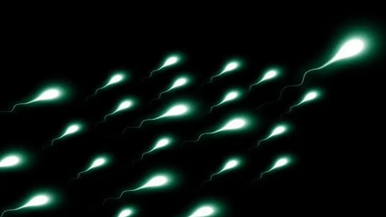 Even mild Covid can ‘permanently damage’ semen quality in men: Study