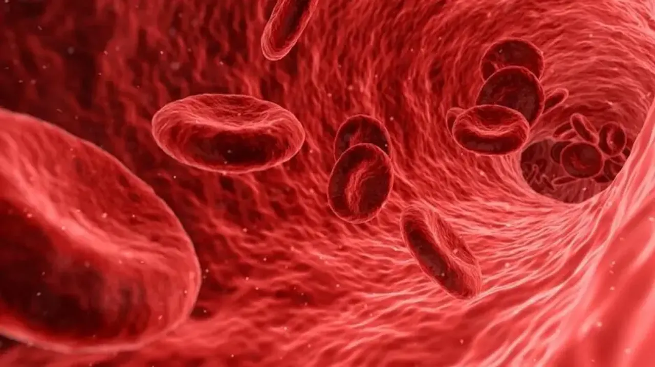 How a national mission can help India tackle sickle cell disease