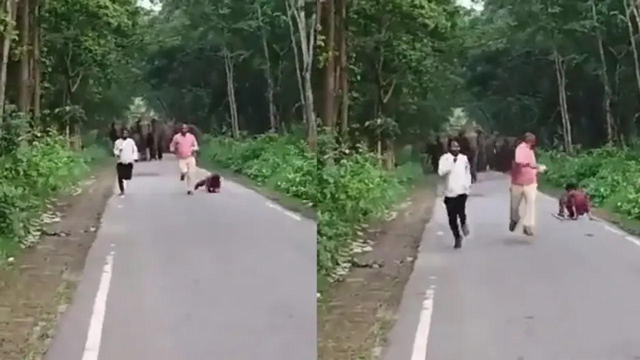 Herd of elephants chases 3 men clicking selfie, watch what happens next