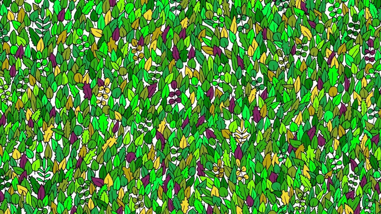 Can you find a frog among leaves in 11 secs?