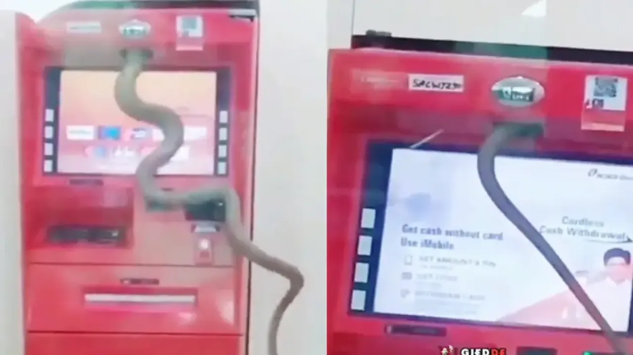 Snake crawls into ATM to ‘withdraw cash’! Video triggers hilarious meme fest; watch