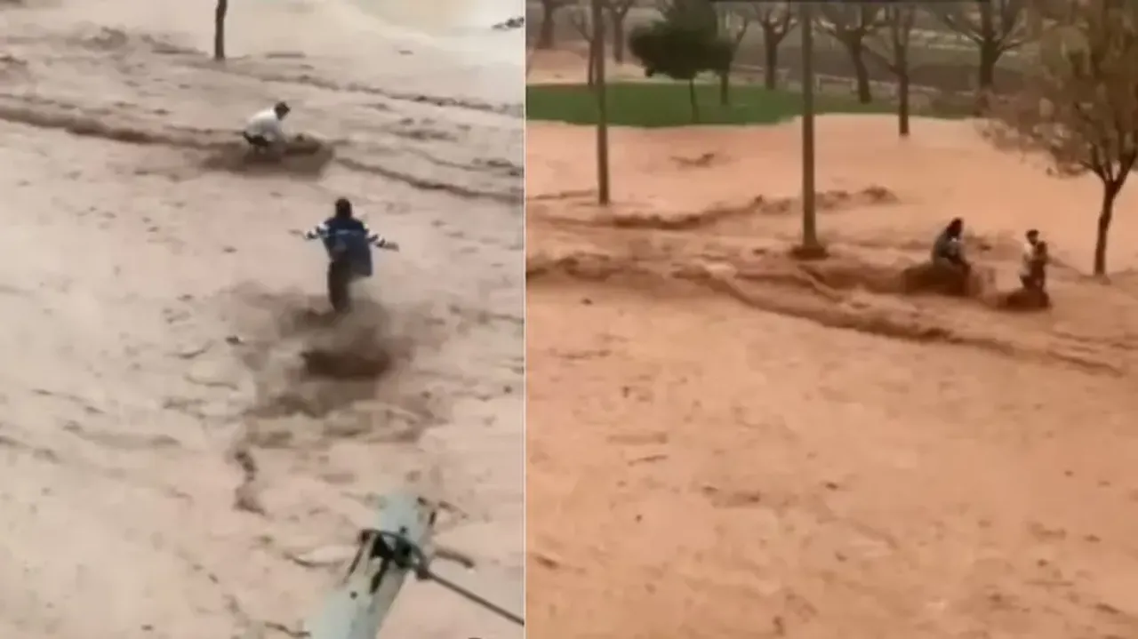 Youths risk lives to save street dogs being swept away in flood; watch