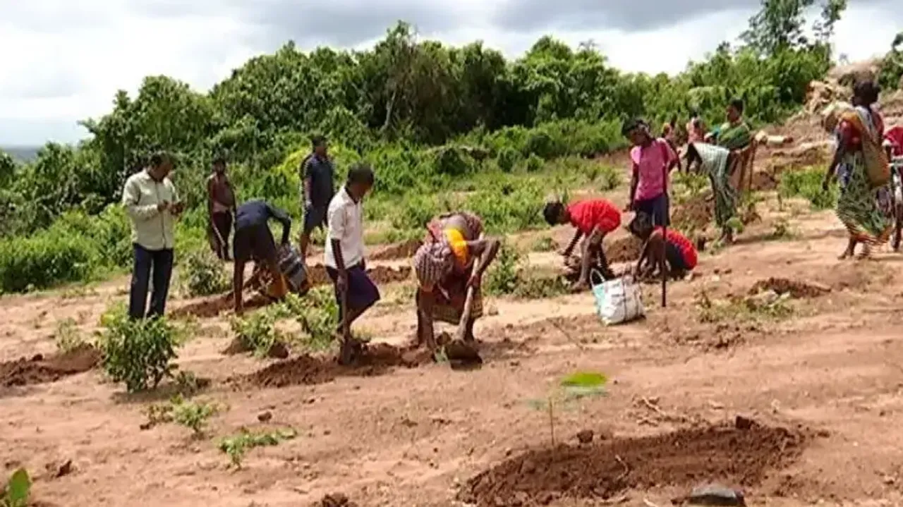 Plantation drive held at Sikharchandi Hills in Bhubaneswar