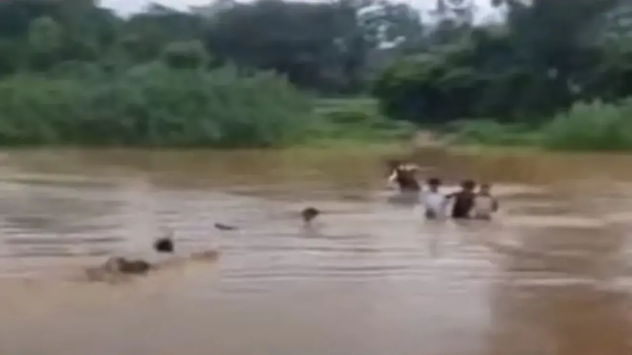 Students cross swelling river in Gajapati