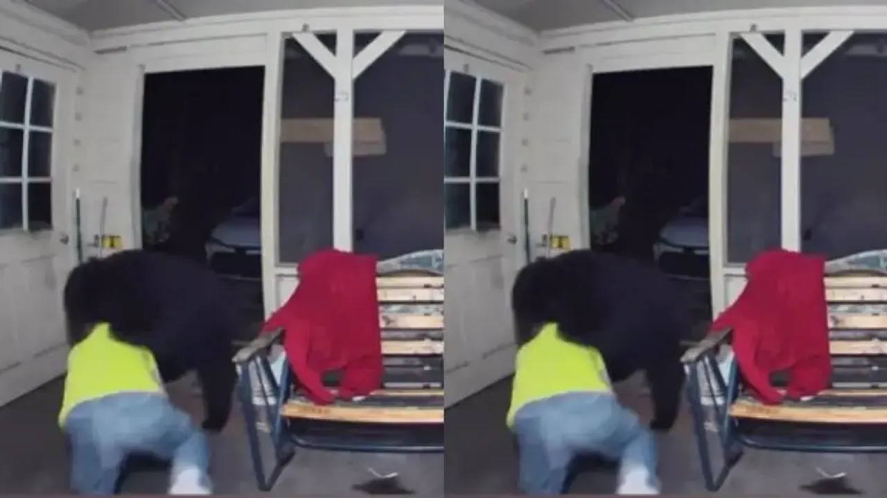 Man fights off huge bear to save beloved pet dog – Watch bone-chilling video