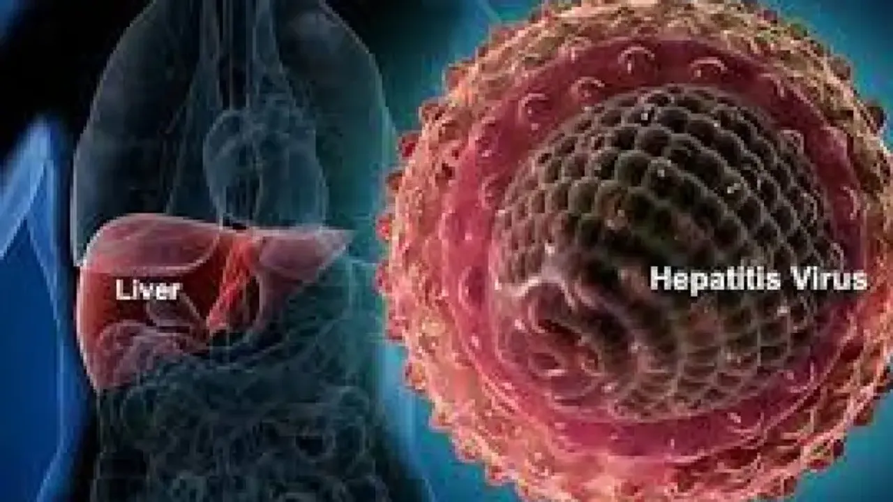 World Hepatitis Day: Beware of viral hepatitis in monsoon months, say experts