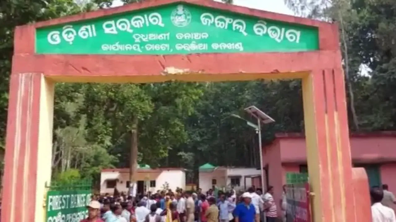 2 Forest department employees axed for throwing fireballs at elephant herd in Odisha 