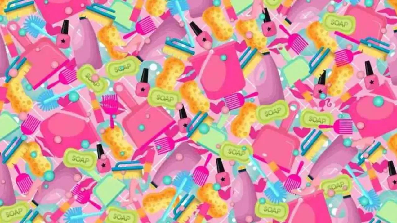 Can you spot Barbie hidden among her cleaning gear in 10 secs?