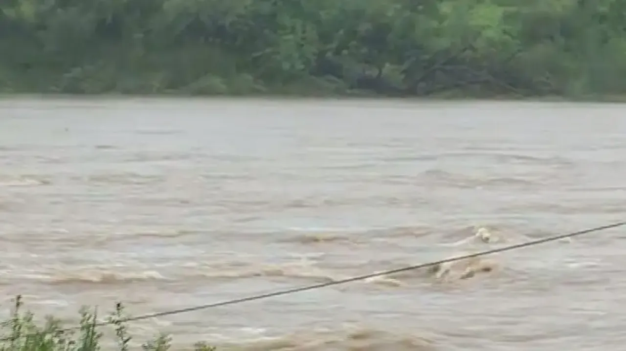 Odisha rain: SRC takes stock of situation, asks Collectors to take precautionary measures 