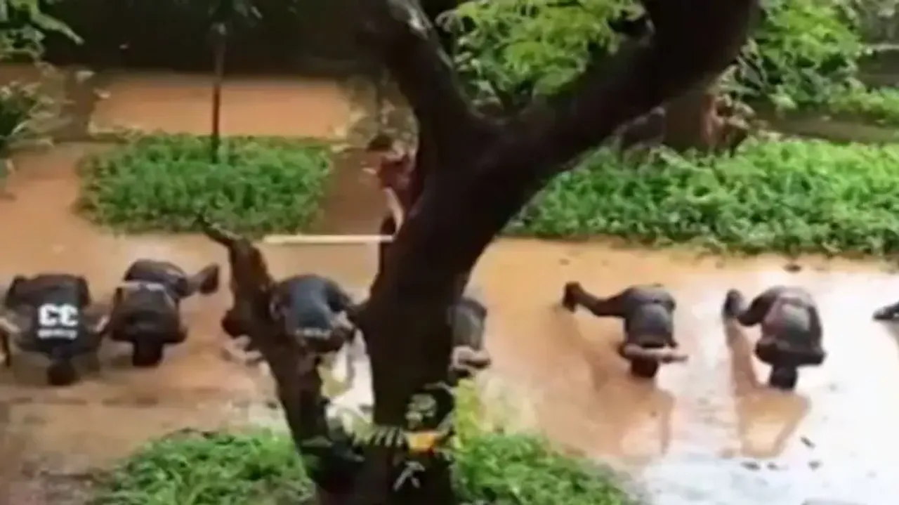 Student unions protest outside Thane college after video showing thrashing of NCC cadets sparks outr