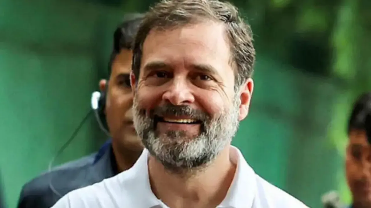 Post SC order on Rahul, BJP plans campaign against his statements