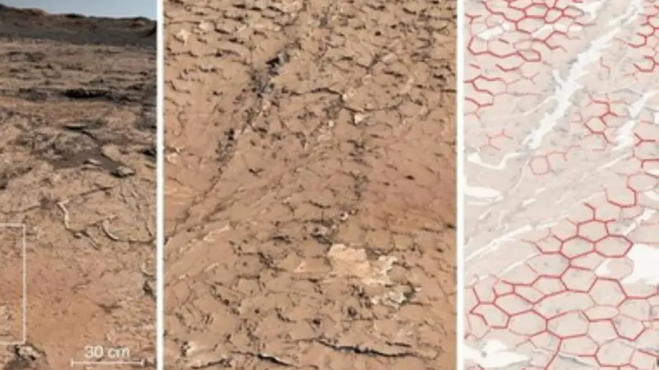 Scientists find environment conducive to emergence of life on Mars