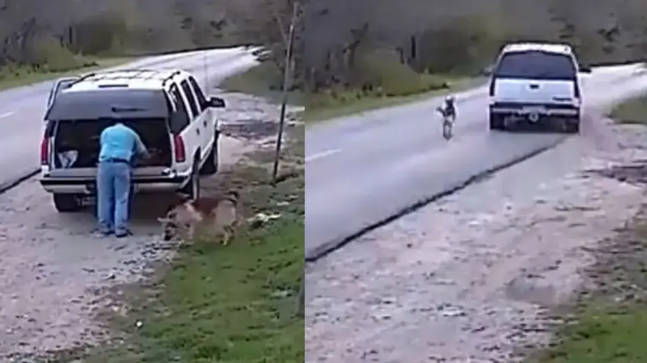 Heartbreaking! Man abandons pet German Shepherd on roadside, dog chases owner’s car; watch