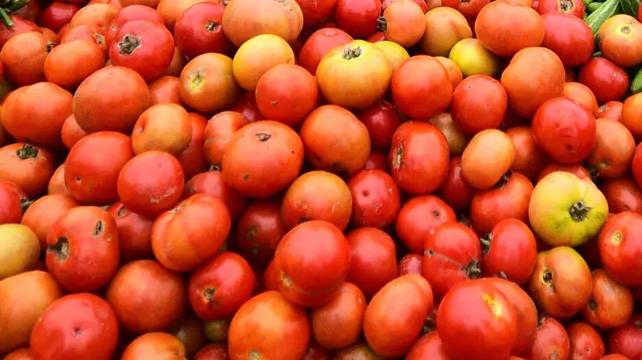 Centre directs NAFED, NCCF to sell tomatoes at Rs 50 per kg