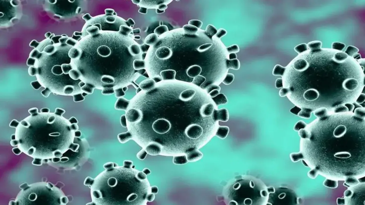 This is how coronaviruses jump from species to speciesThis is how coronaviruses jump from species to