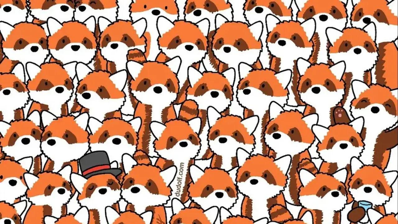 Can you spot three foxes among red pandas in 9 secs in this pic?