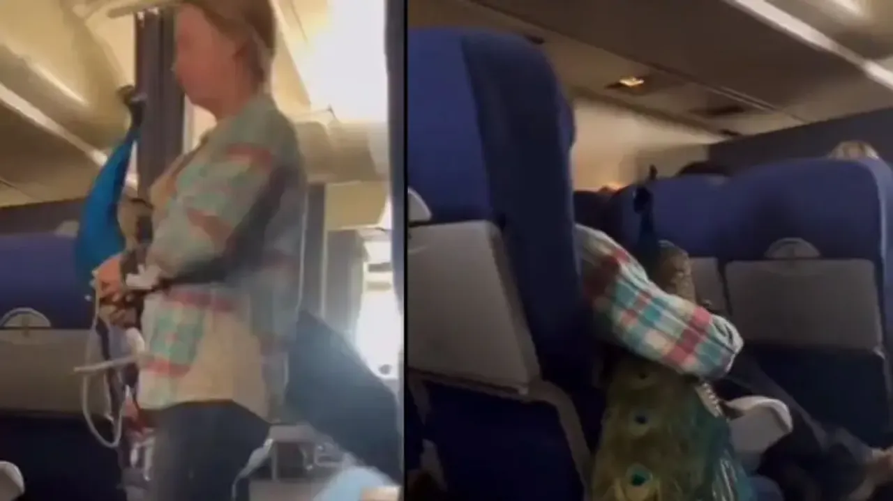 Woman carries peacock onboard a flight, netizens left shocked; watch