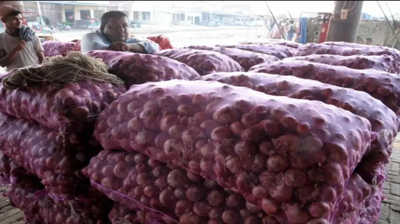 Govt imposes 40% duty on onion export