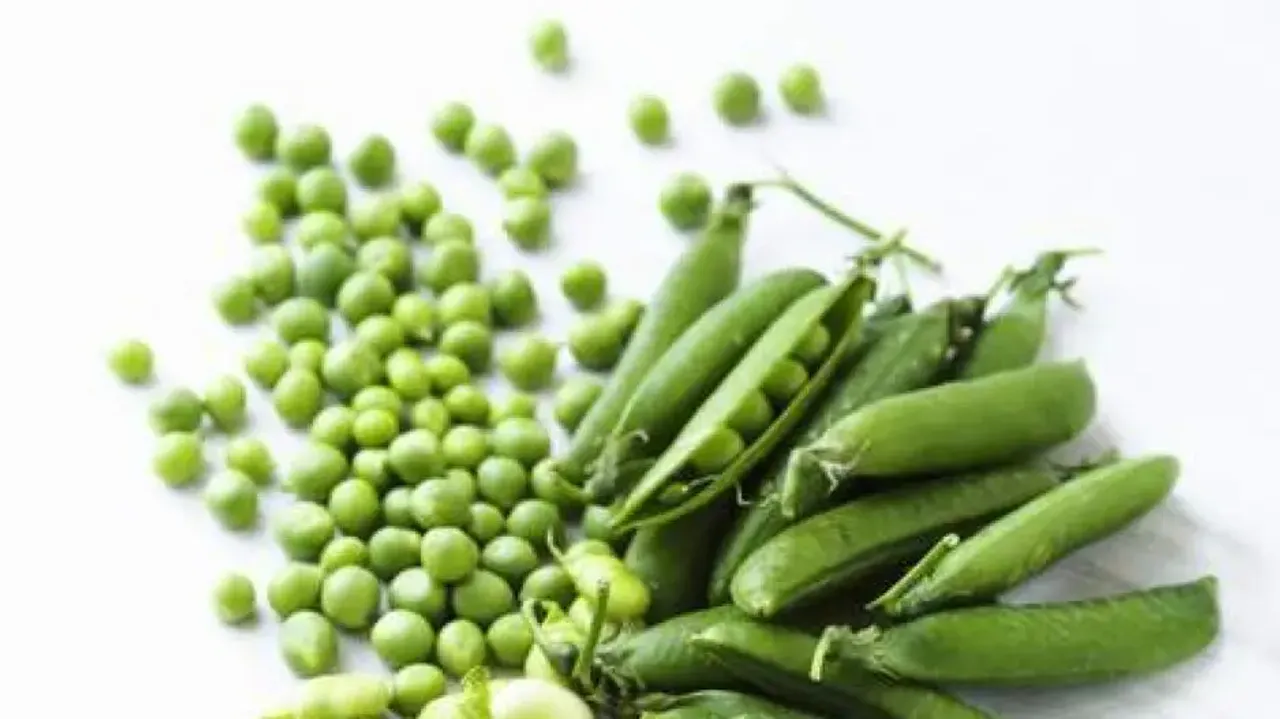 Increasing peas and beans, limiting red meat safe for bone health, protein intake: Study
