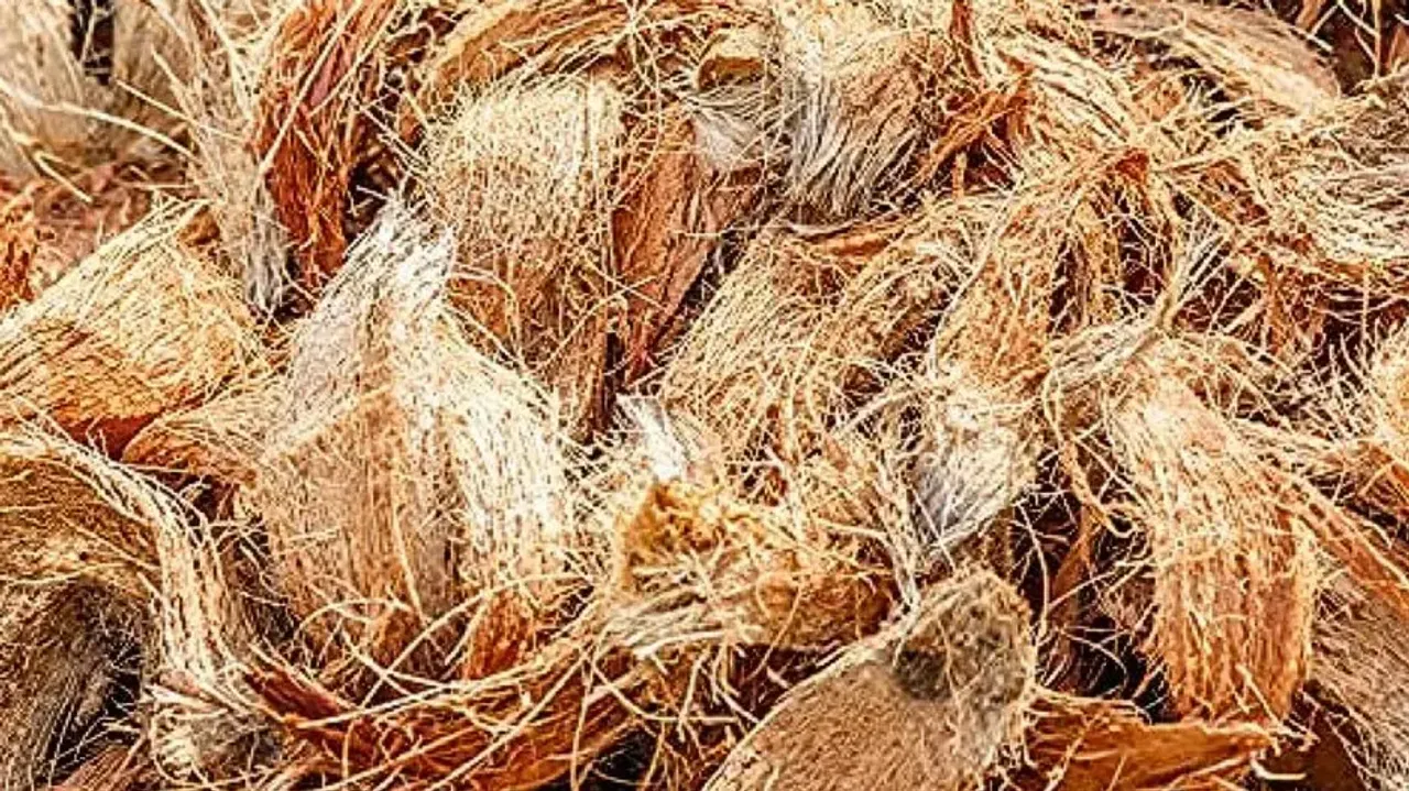 Central universities research says coconut coir has anti-cancerous qualities