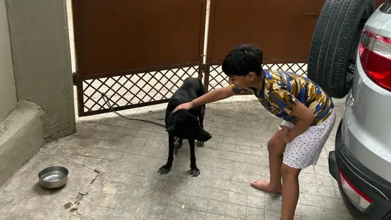 German Shepherd, Blacky Who lost Its Life Fighting Cobra
