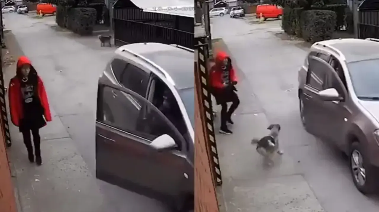 Street dog saves school girl from getting kidnapped; watch