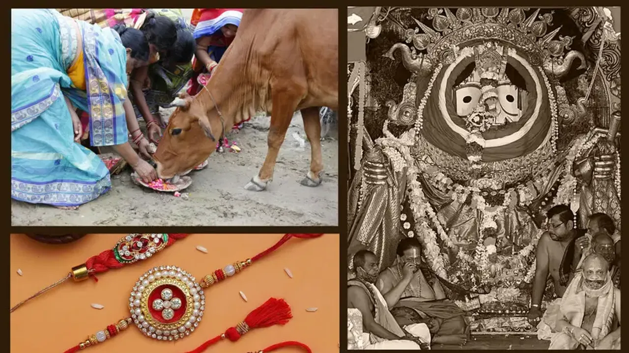 Worshipping cows in Odisha on Raksha Bandhan – A brief look into the age-old ritual