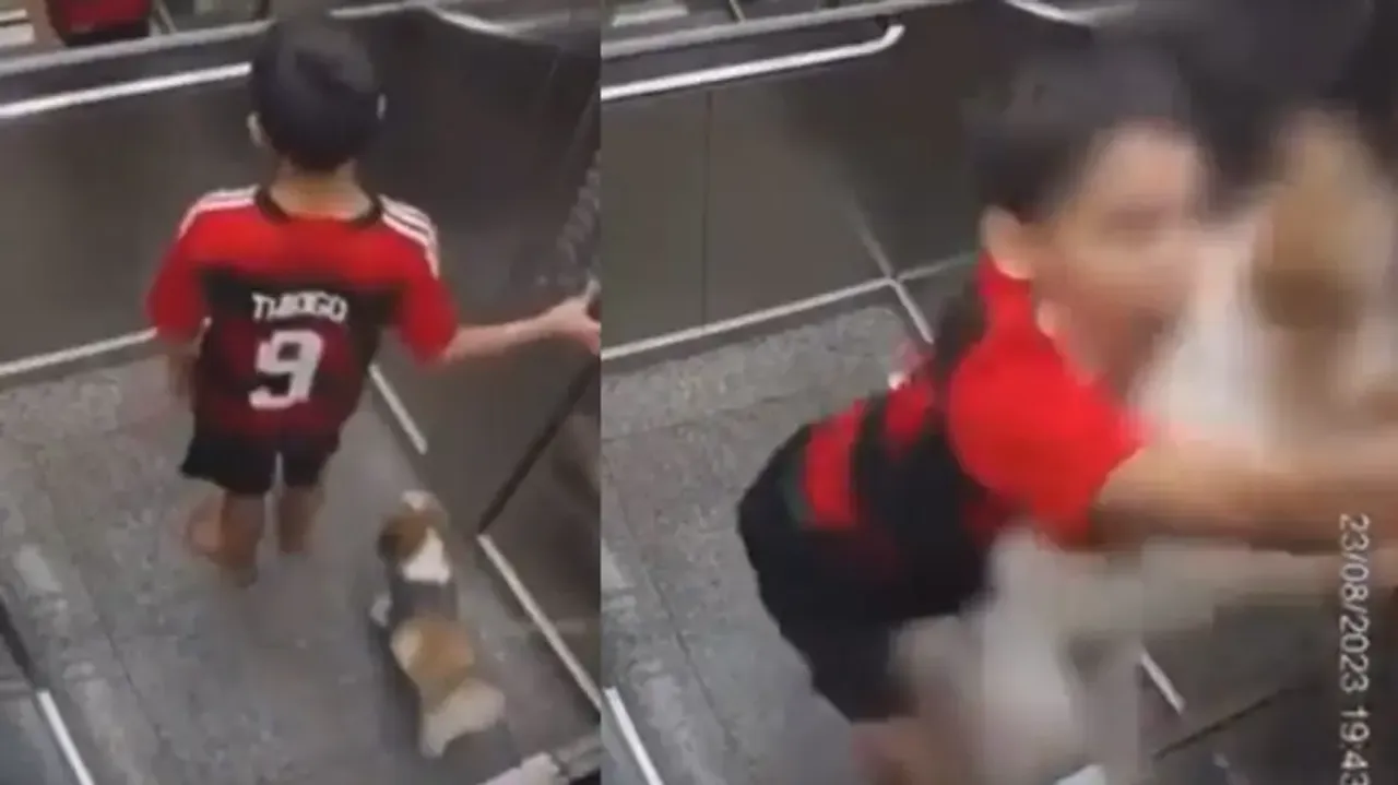 Courageous boy saves pet dog from certain death; watch