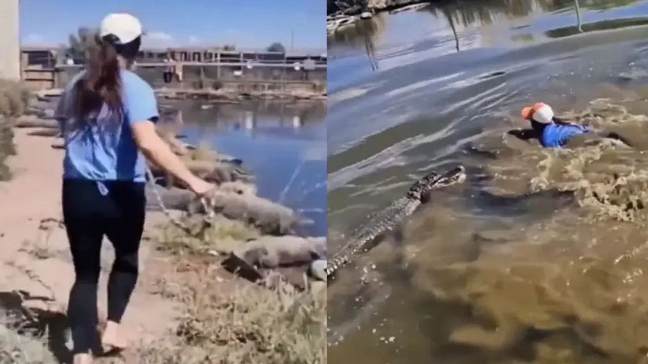 Girl jumps into pond to catch crocodiles with bare hands, leaves netizens in shock, watch
