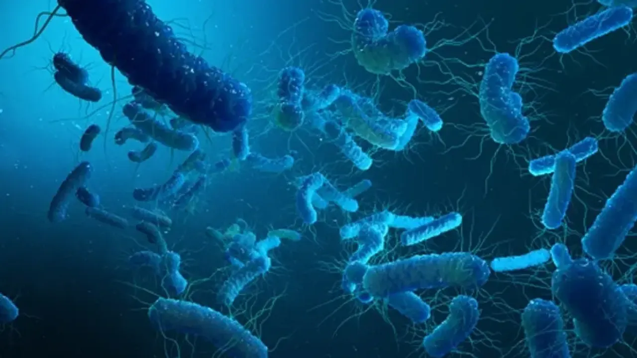 Scientist engineered bacteria to generate electricity from wastewater