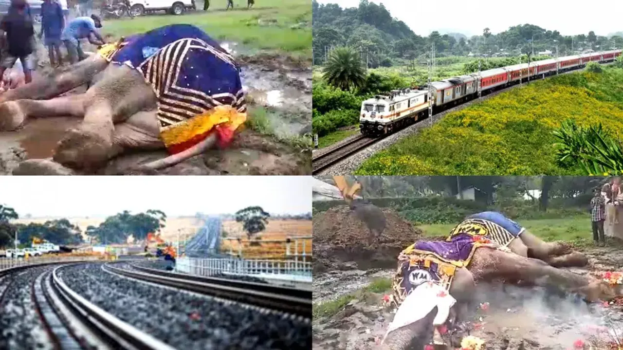 Rlys introduces AI-based surveillance in elephant corridors to avert mishaps