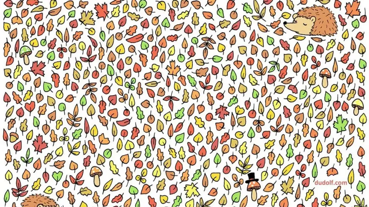 Only 1% of people with sharpest eyes can find an acorn in 11 seconds!