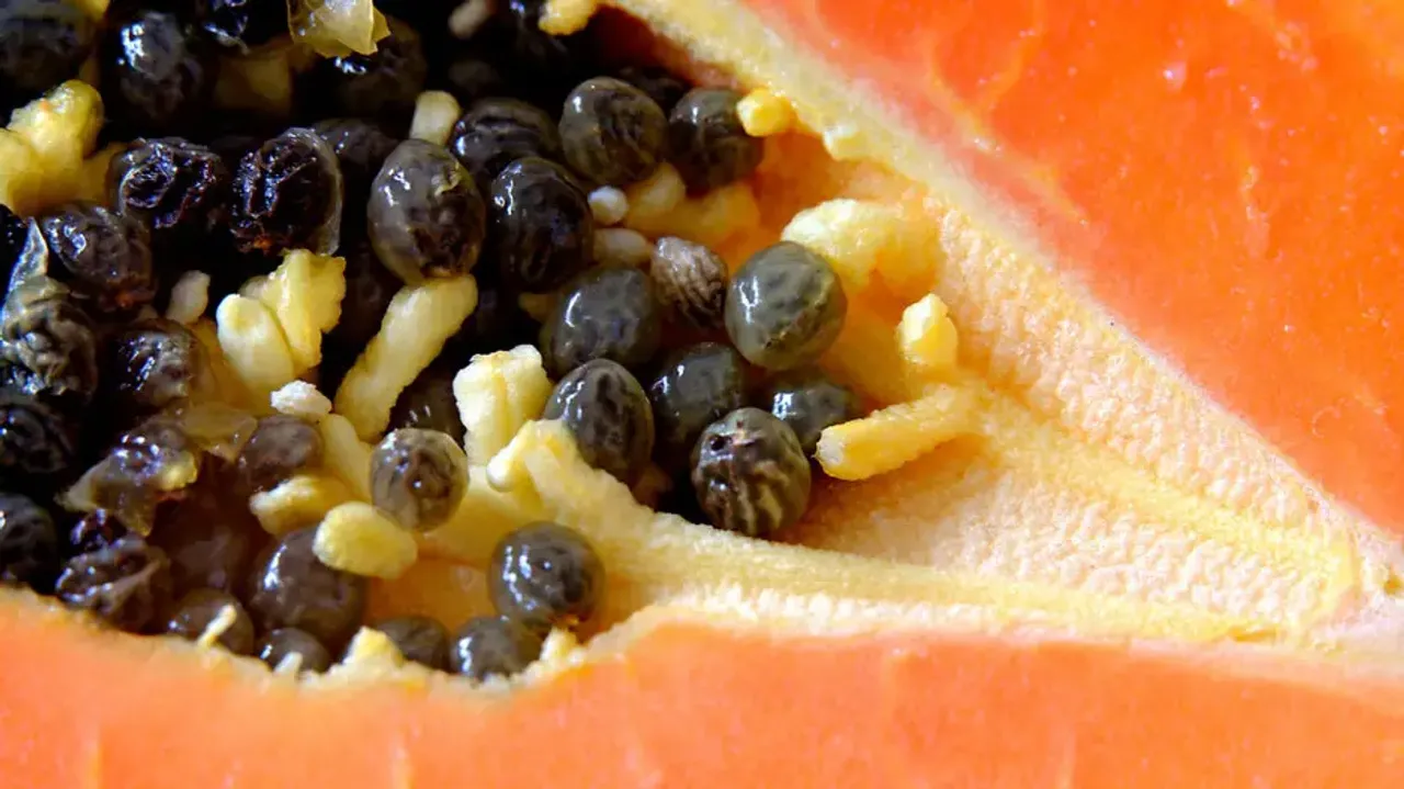 papaya seeds