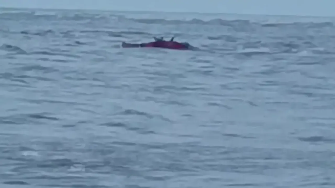 Boat Capsizes In Paradip 