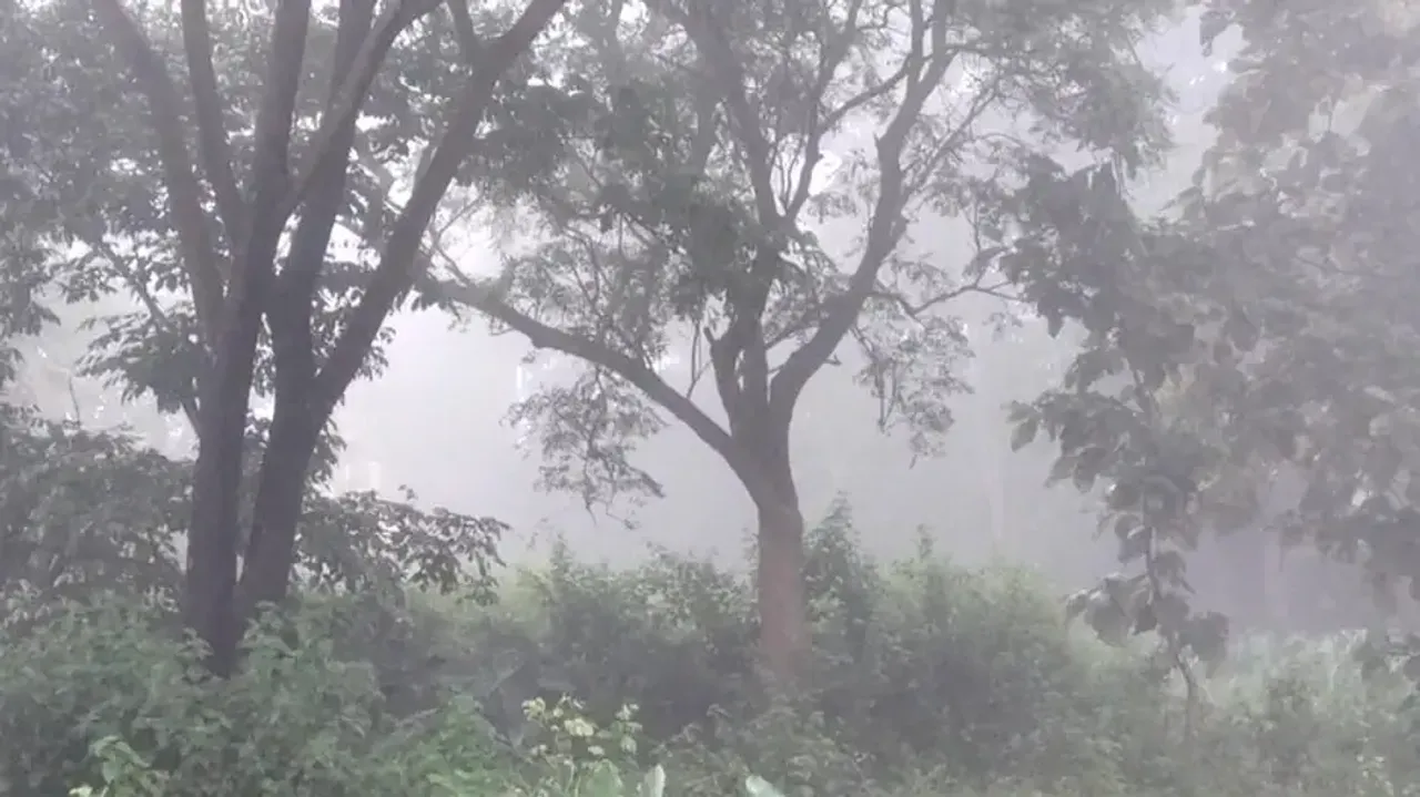 Season's first fog engulfs Sundargarh's Koida