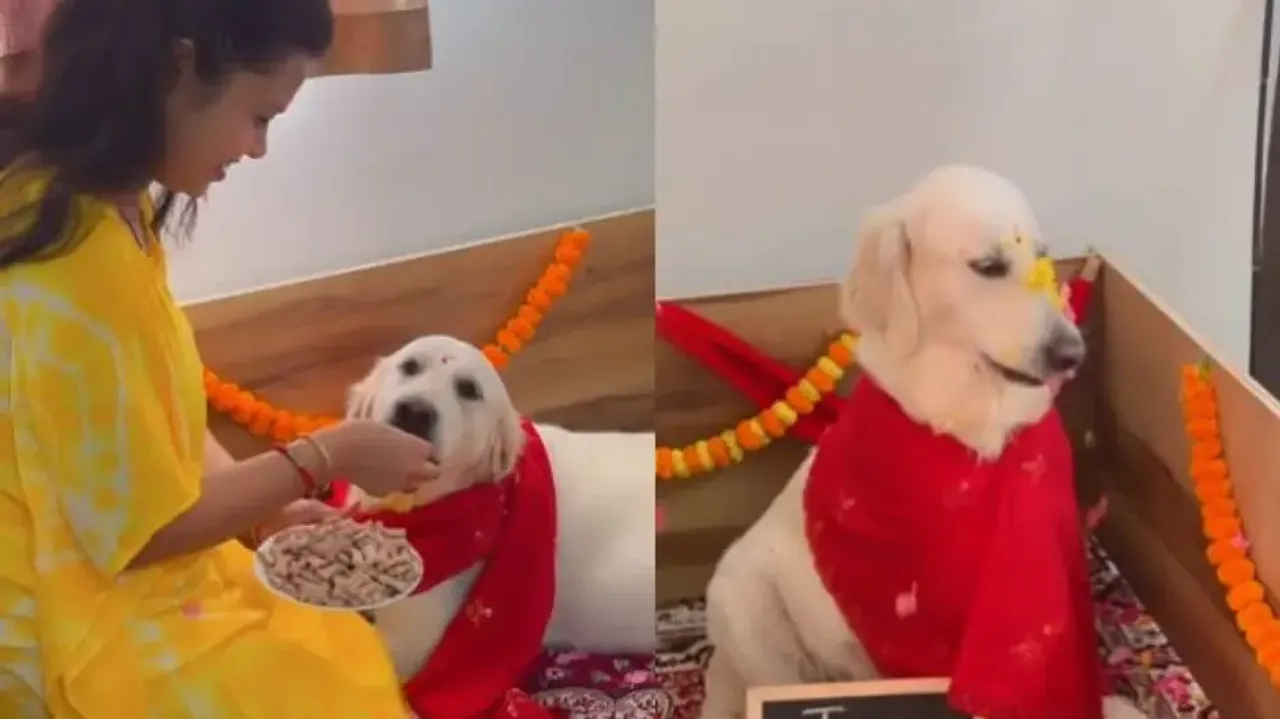 Indian family conducts baby shower for pregnant pet dog – Watch heartwarming video