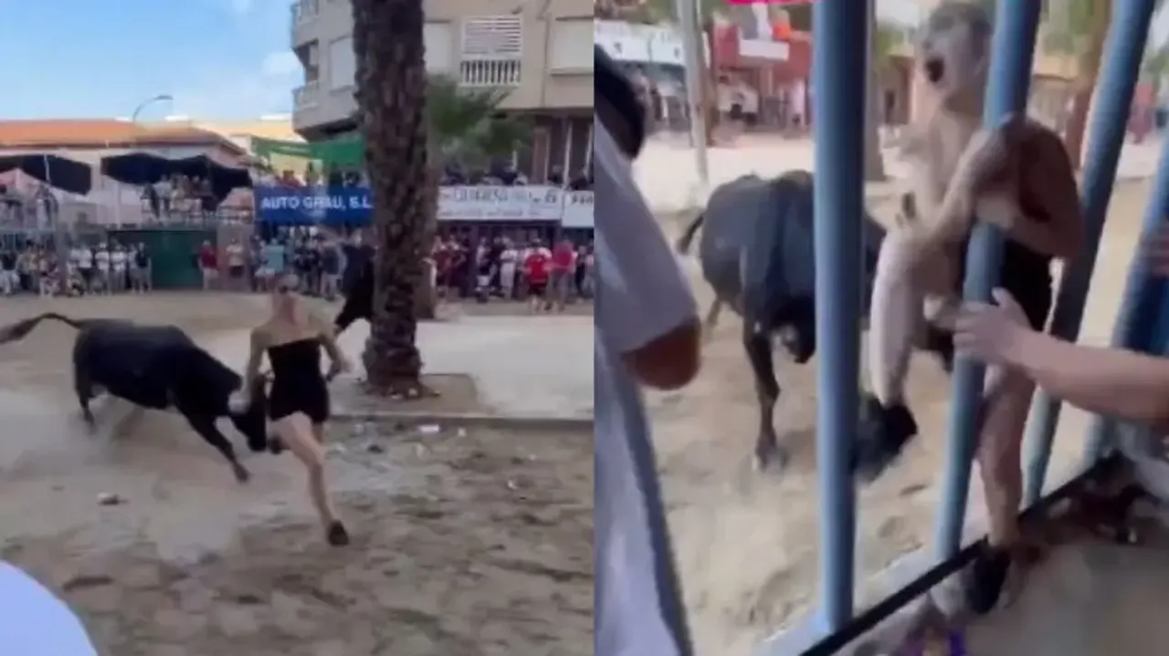 Terrifying bull attack on girl caught on camera; Watch