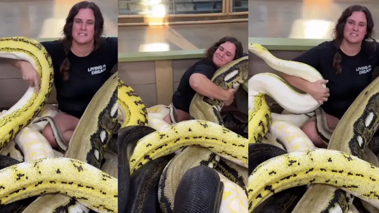 Woman cuddles with pythons, viral video sends internet into a meltdown