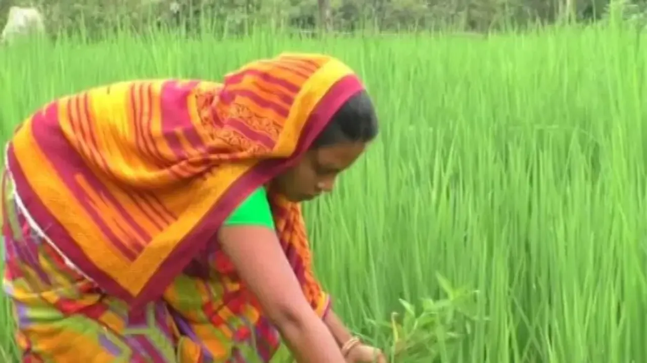 Bank Mitra Bharati Singh suspended for speaking against 5T Secy reinstated; thanks Odisha people, OT