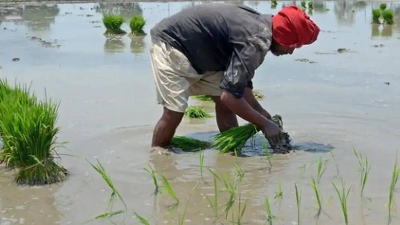 Farmers demand fair pricing, reliable market for their produce